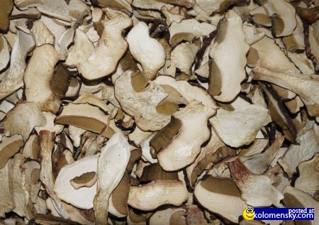 Сушеные белые грибы Алтая